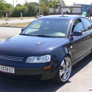 Barracuda Voltec T5/ Chrom,Goldschrauben (Winter)
