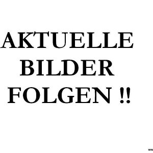 Barracuda Voltec T6 Black Chrom (Sommer)