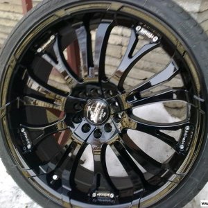 Barracuda Tzunamee (Sommer)