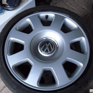 Vw Champion (Sommer)