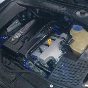 Passat 1.8T