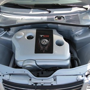 Zenetti Hair (Winter)