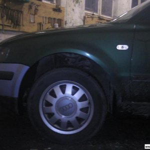 Thomason TN 6 (Winter)