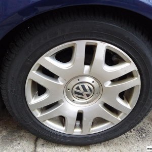 RH AS Speiche (Winter)