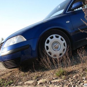 RH PhÃ¶nix (Winter)