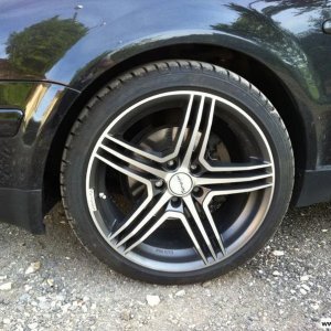 Tomason TN 5 (Sommer)