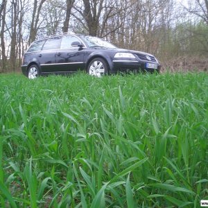 Passat 2.5 V6 TDI Variant