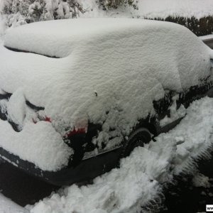 Passat 2.0 TDI DPF Variant