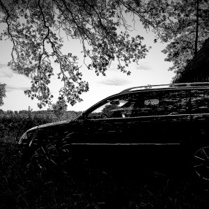 VW Passat 3BG 1.9TDI