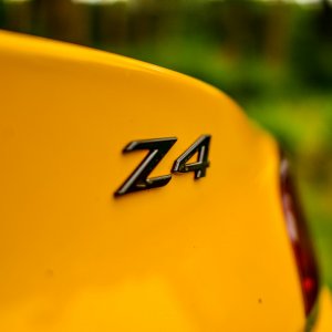 Lackierte Embleme