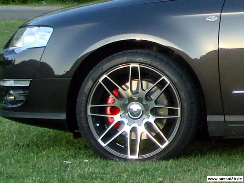 ACE Evo Race Typ AP (Sommer)