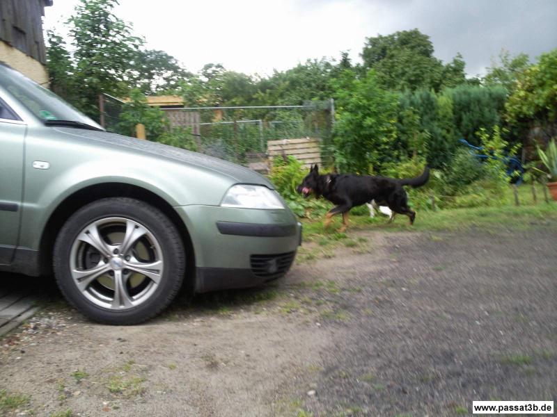 Alutech Aludingens (Sommer)