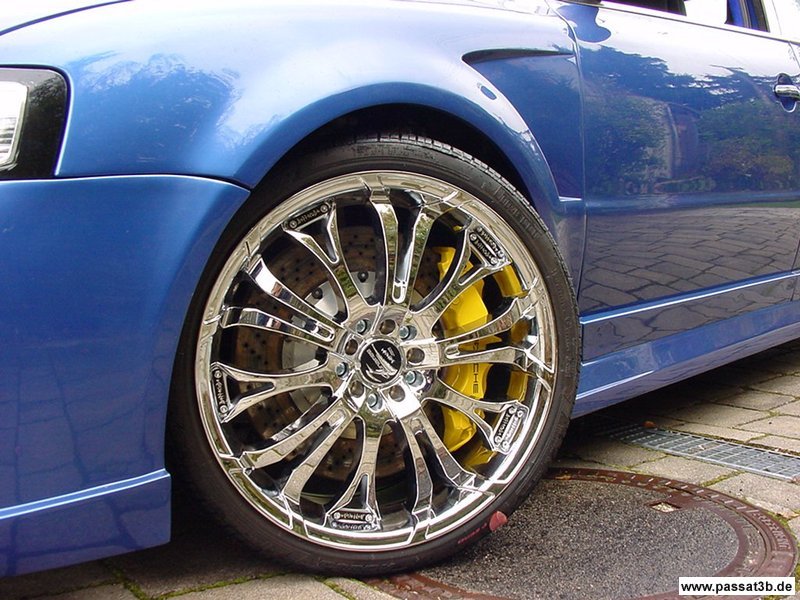 Barracuda Tzunamee (Sommer)