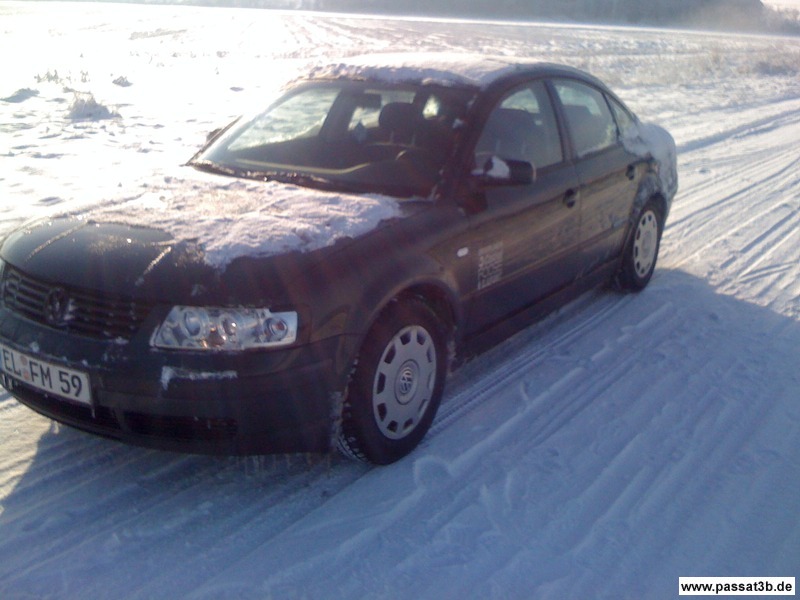 MSW Design 20 (Winter)