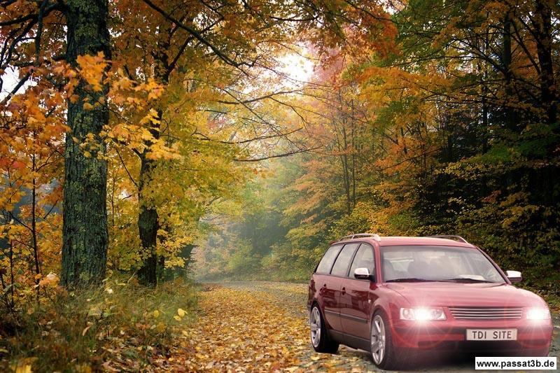 Passat 1.9 TDI Variant