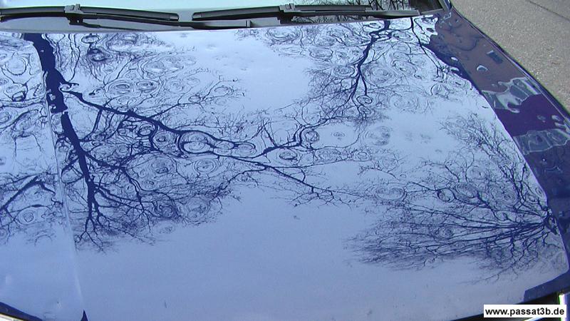 Passat 2.0 TDI DPF Variant