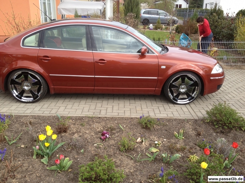 Passat 2.0
