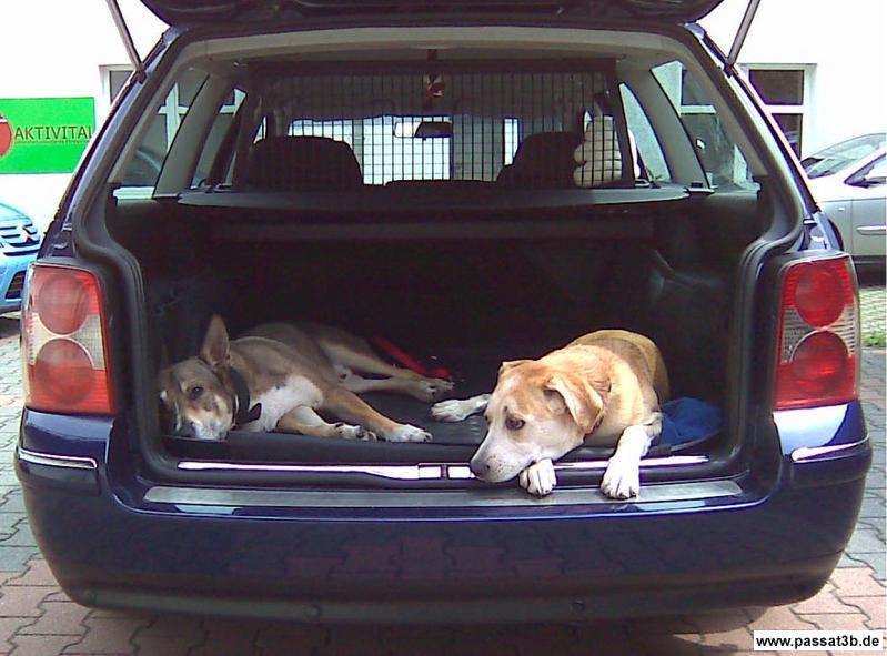 Passat 2.5 V6 TDI Variant