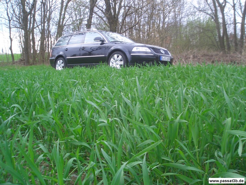 Passat 2.5 V6 TDI Variant
