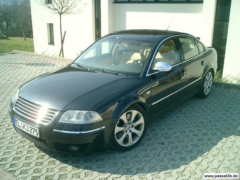Passat W8
