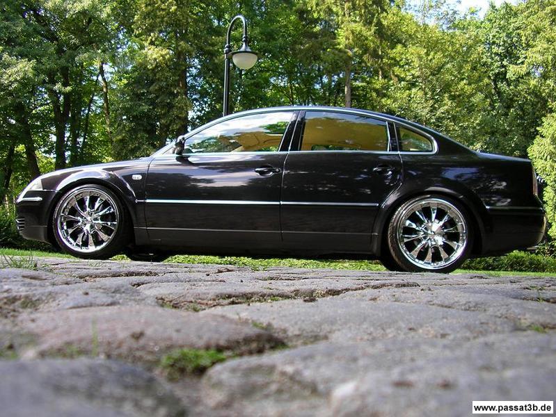 Passat W8