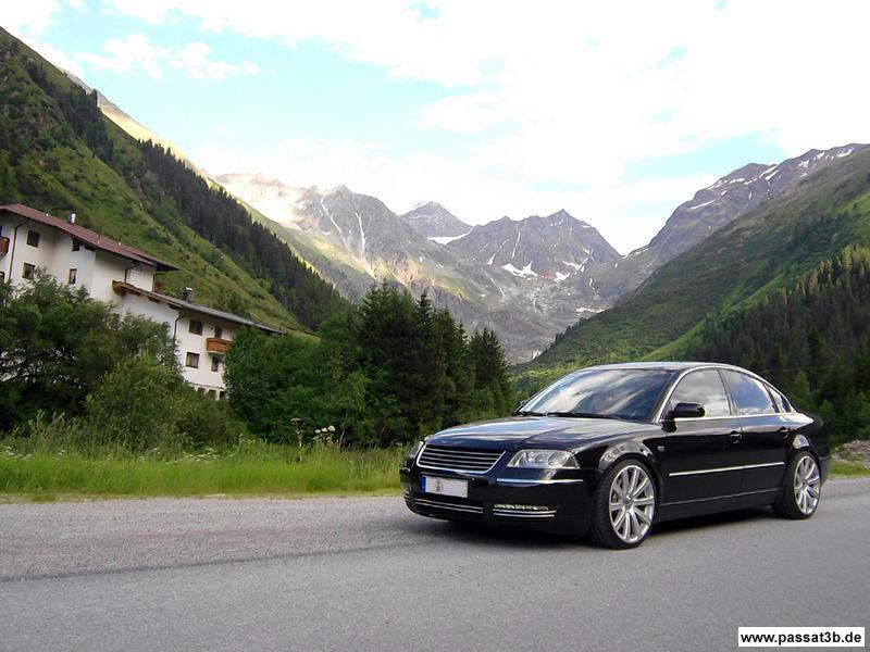 Passat W8