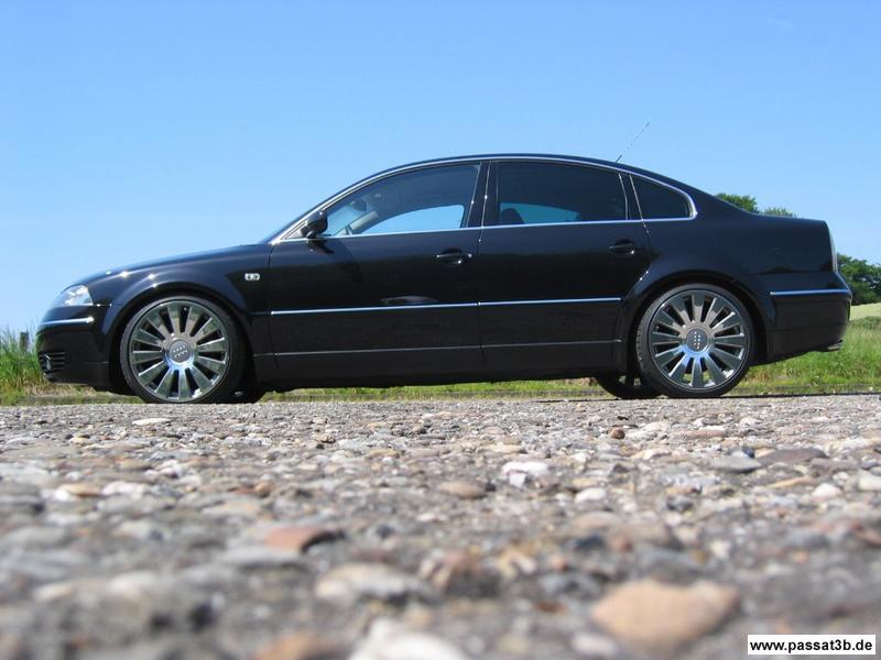 Passat W8