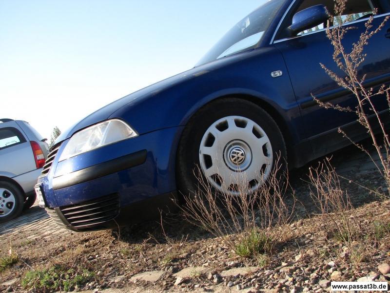 RH PhÃ¶nix (Winter)