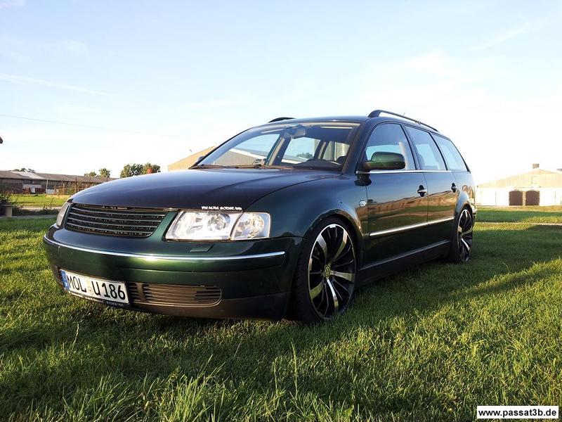 Thomason TN 6 (Sommer)