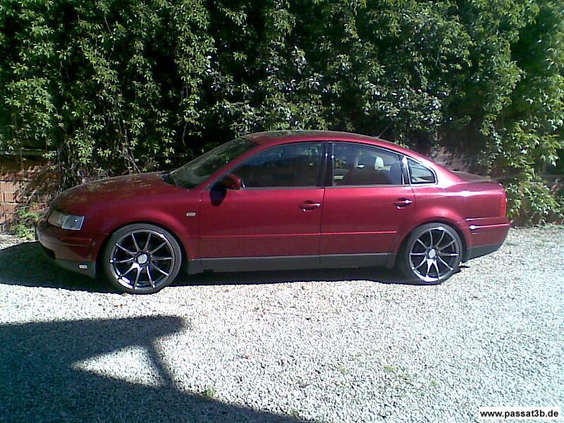 Tomason TN1 (Sommer)