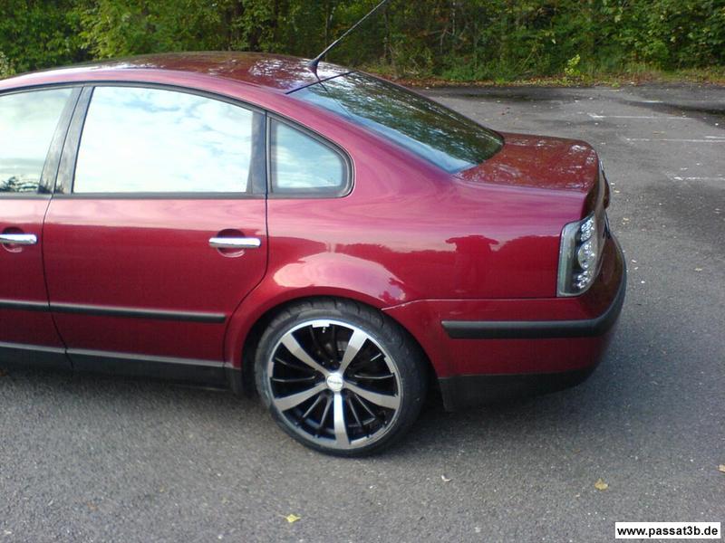 Tomason TN6 (Sommer)