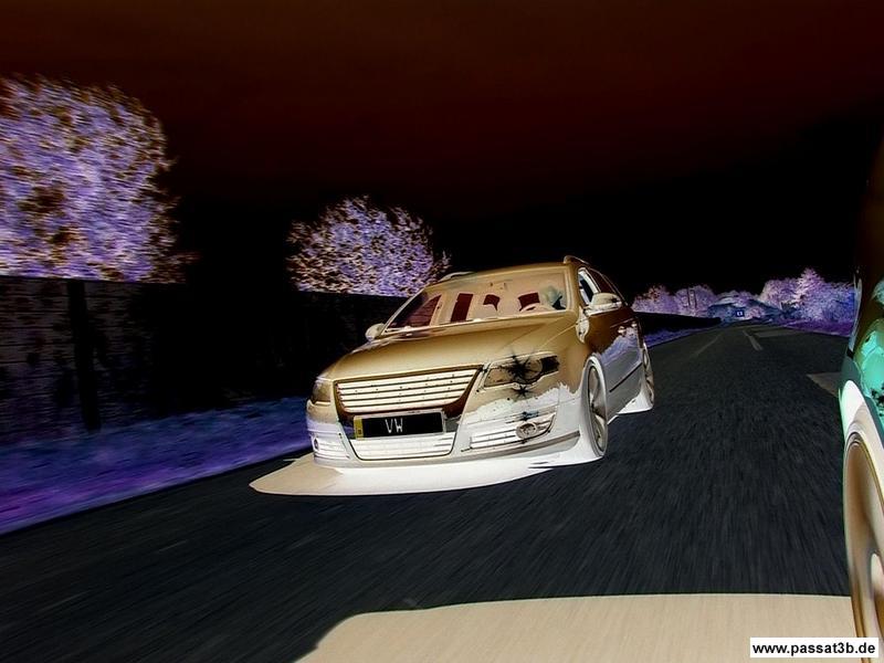 Tomason tn6 (Sommer)