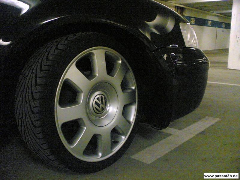 volkswagen champion (Sommer)