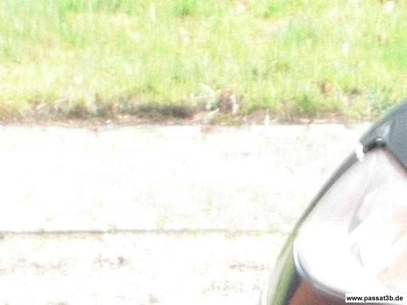 Volkswagen Phoenix (Sommer)