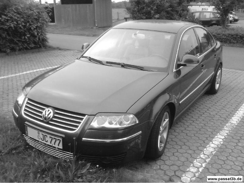 VW AluFelge (Winter)