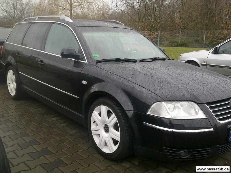 VW Phoenix (Sommer)