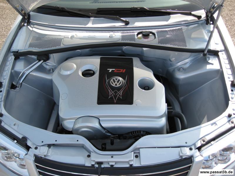 Zenetti Hair (Winter)