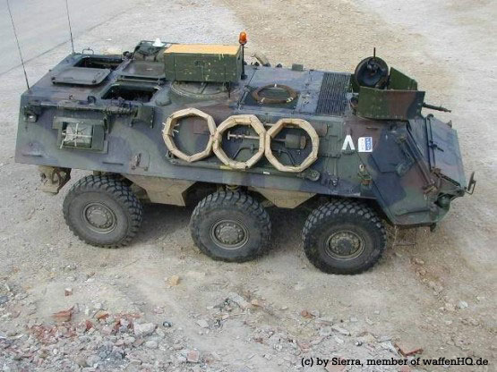 fuchs02.jpg