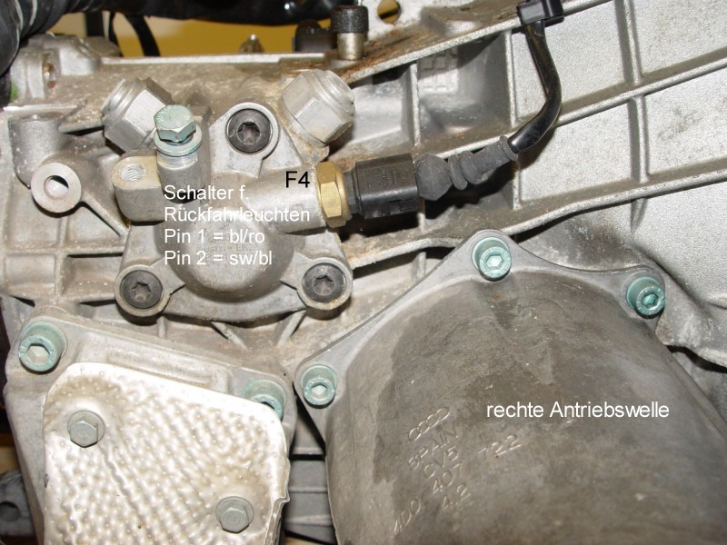 F4.jpg
