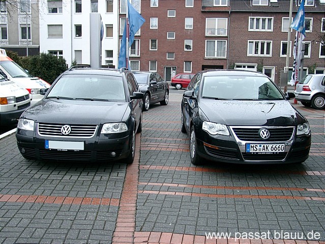 Th_03120073.jpg