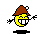 schacka_2.gif