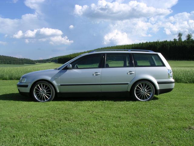 p3.JPG