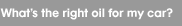 whatstherightoil.gif