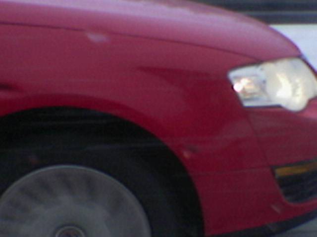 foto1785dy.jpg