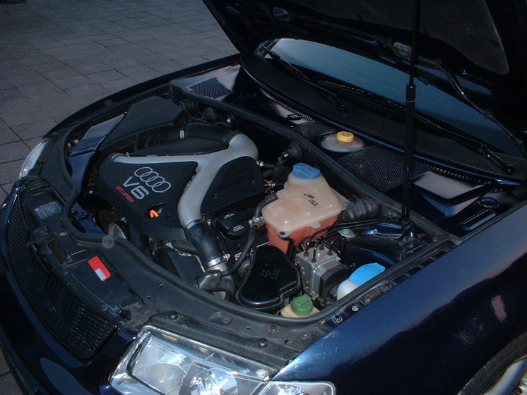 Passat_14.jpg