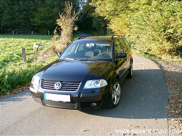 Th_10160001.jpg